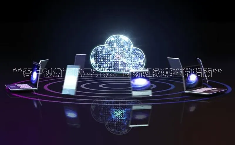 金年会网站入口百度安全社区**客户视角下的云计算：创新和敏捷性的指南**