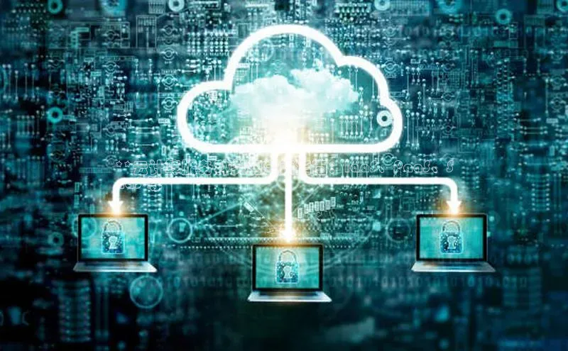 jinnian金年会极氪智能科技**云计算服务种类的全面指南：IaaS、PaaS、S
aaS 等**