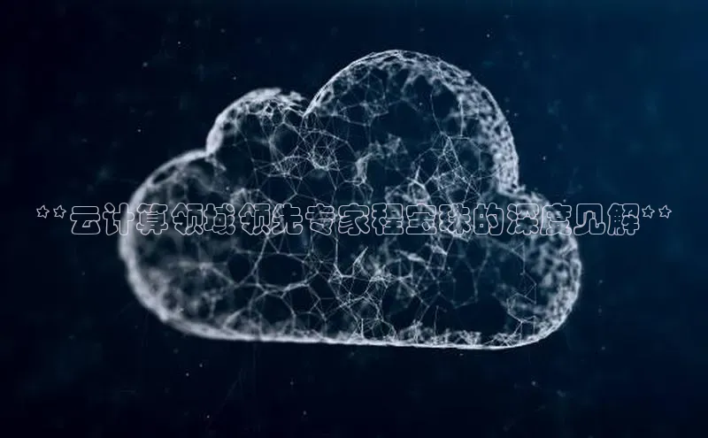 金年会电子游戏app华扬联众**云计算领域领先专家程宝珠的深度见解**